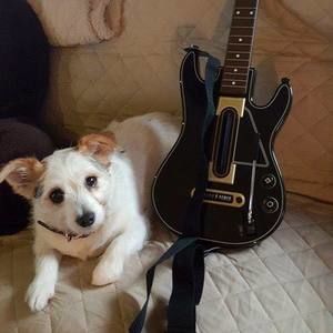 Meet your Posher, Mary